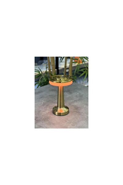 ACAR 491 Masa Lambası 20 Cm - Gold