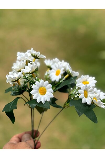 DDTREND Yapay Papatya Demeti Gerçek Görünümlü 5 Dallı 25 Çiçekli