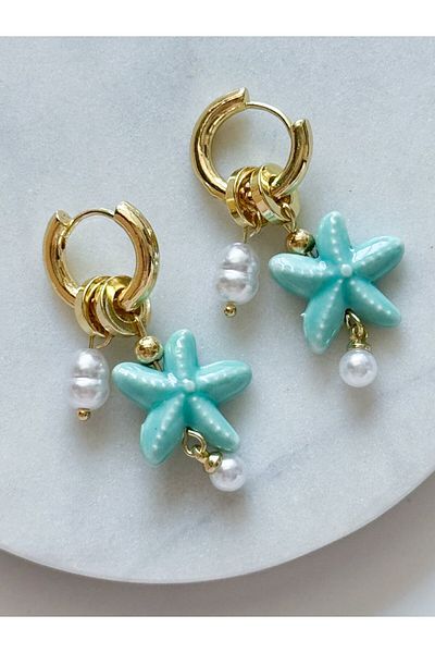 CHARMLUCKY Steel Charm Ceramic Star Earrings