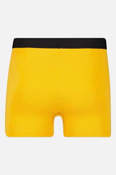 adidas Men 3 Pack Brand Logo Trunks, Multicolor