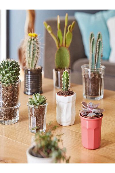 Luminarc Carnaval Heat Resistant Tempered Glass Tumbler Coral Pink 90ml