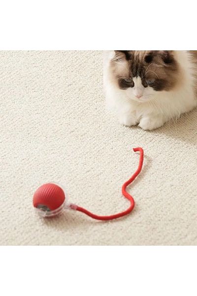 keyfisepet en keyifli sepet Red Ball Toy with String for Cats – Fun and Durable Cat Toy