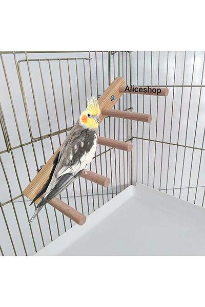 aliceshop ملعب مسار تسلق سلم الطيور