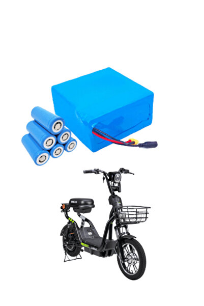 Volta VSM 48v 18ah LiFePO4 Batarya