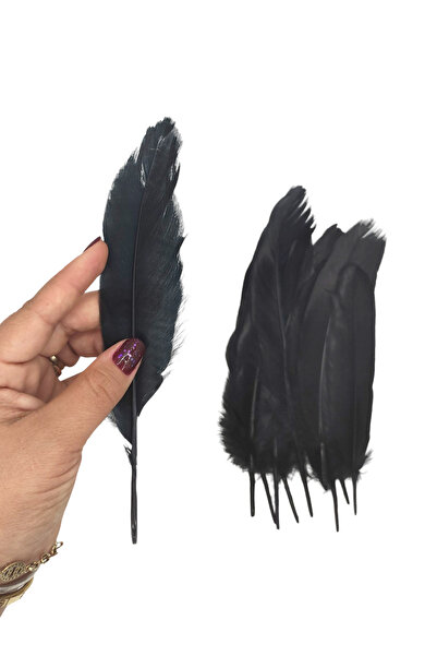 Limmy Siyah Tüy El İşi Tüyleri, Okul Öncesi Etkinlik Tüy 10 Lu - 1 Paket