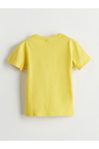 LC Waikiki Crew Neck Boy's T-Shirt