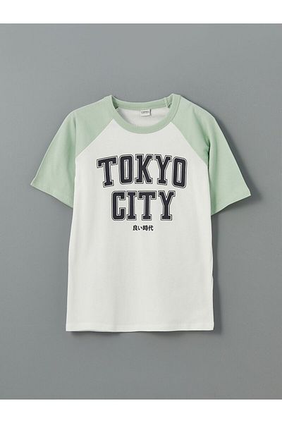LC Waikiki Crew Neck Printed Boy's T-Shirt
