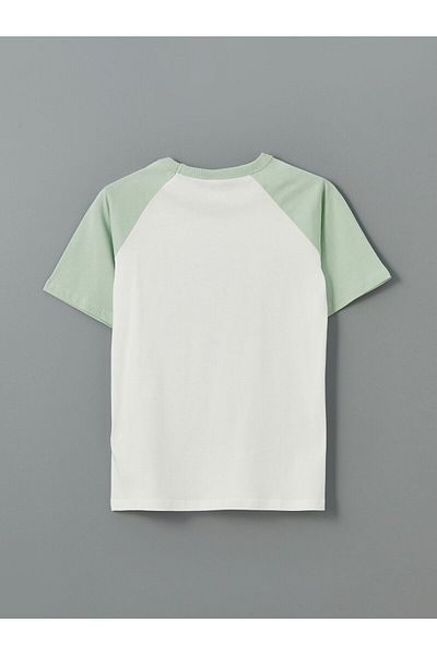 LC Waikiki Crew Neck Printed Boy's T-Shirt