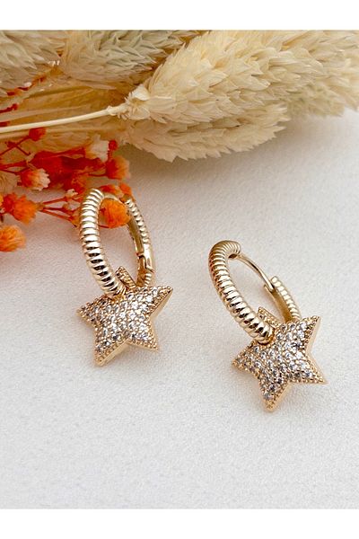 Siya Silver Zircon Stone Paved Star Dangle Steel Earrings