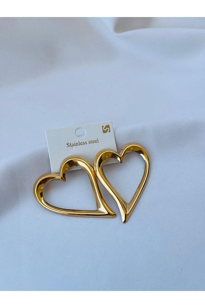 ESDE Stylish Design Steel Earrings with Big Size Heart