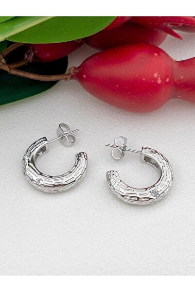 Siya Silver Zirkon Taşlı Kalın Çelik Çivi Küpe - 2,1 cm