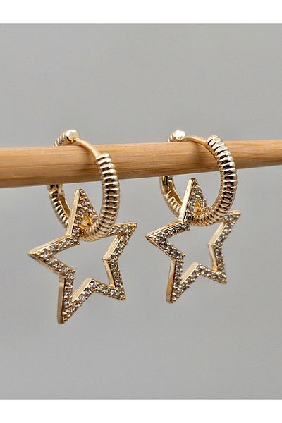 Siya Silver Special Series Zircon Stone Hoop Star Steel Earrings