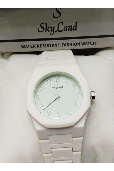 Skyland Sky Land Fully Automatic Mechanical Waterproof and Luminous Business Men's Watch