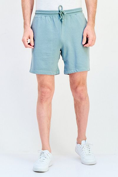 GAP Men Solid Basic Shorts, Sage Green