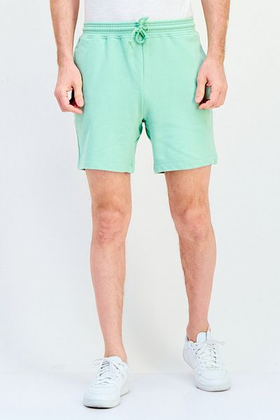 GAP Men Plain Basic Shorts, Mint Green