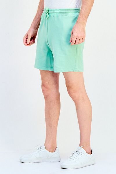 GAP Men Plain Basic Shorts, Mint Green