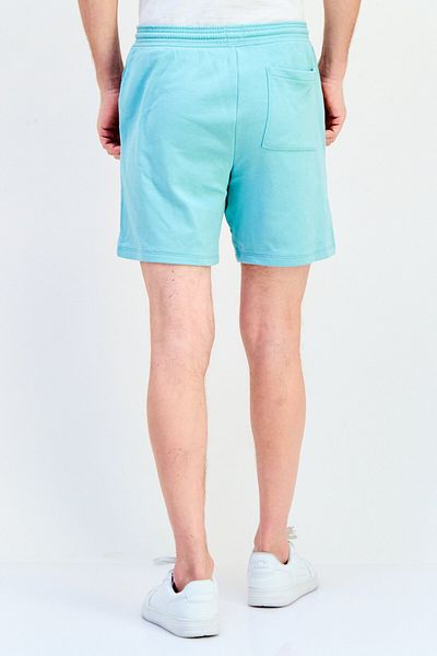 GAP Men Embroidered Logo Basic Shorts, Light Turquoise