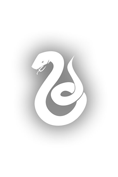 Reysa Tasarım Snake Car Sticker 17X17 cm White
