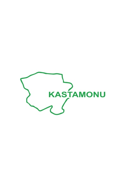 Reysa Tasarım ملصق سيارة خريطة كاستامونو مقاس 17 × 17 سم باللون الأخضر