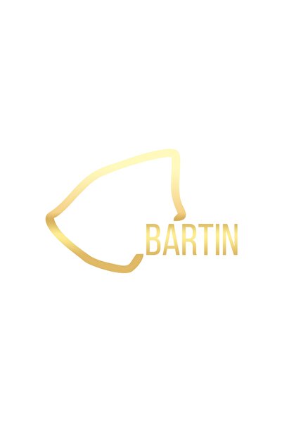 Reysa Tasarım ملصق سيارة بارتين هارايت مقاس 17x17 سم ذهبي