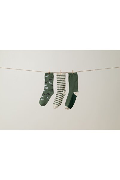 M'ANY Organics Dino Erkek Çocuk Dinozor Desen 3'lü Çorap