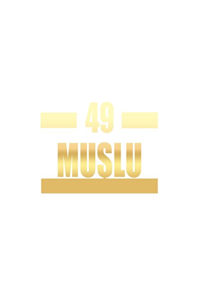 Reysa Tasarım 49 Horse Car Sticker 17X17 cm Gold