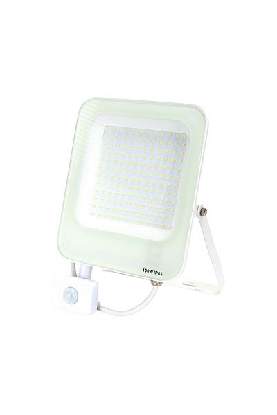 Sofia Concept LED Floodlight with Motion Sensor, 100W, 8900 Lm, 4000K, IP65, Aluminum, White