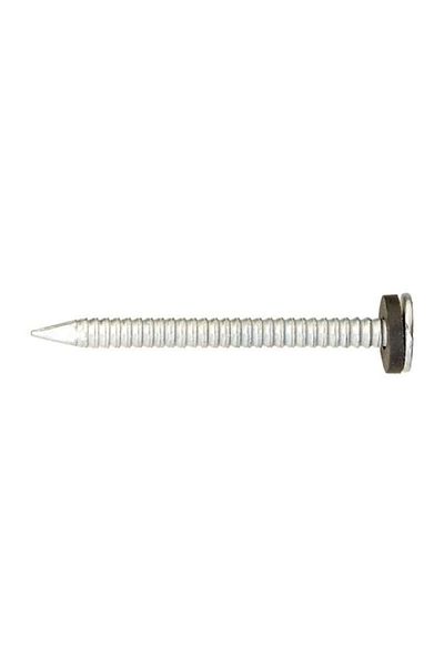 ACE Roofing Nails with Neoprene Washer Ring Shank Silver 2inch