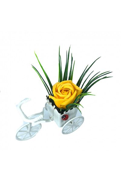 dalimag Aranjament Floral, Bicicleta, Trandafir Galben Inchis, Parfumat, Buburuza