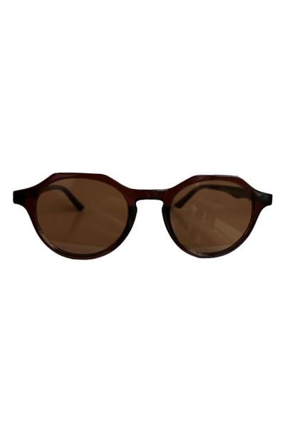 Aqua Di Polo 1987 Unisex Brown Sunglasses Apsn013502