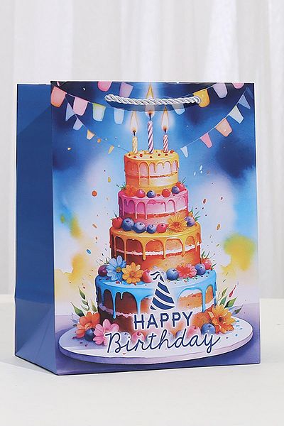 TAKIŞTIR Mixed Color Cake Figured Cardboard Bag