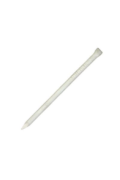 ACE 10D Hot Galvanized Casing Exterior Finish/Trim Nails Silver 3inch