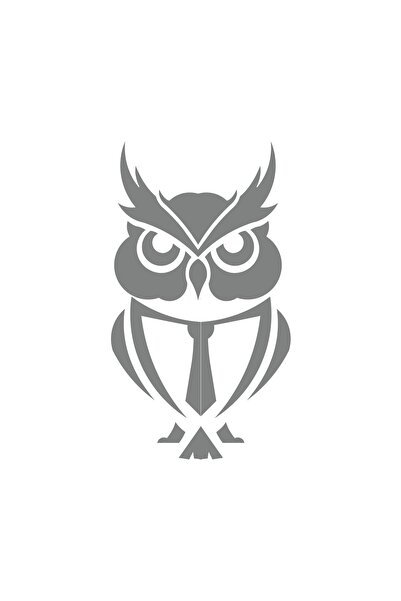 Reysa Tasarım ملصق على شكل بومة 17x17 سم رمادي