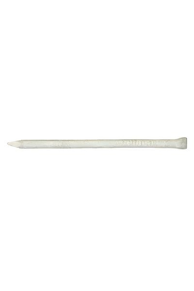 ACE 10D Hot Galvanized Casing Exterior Finish/Trim Nails Silver 3inch