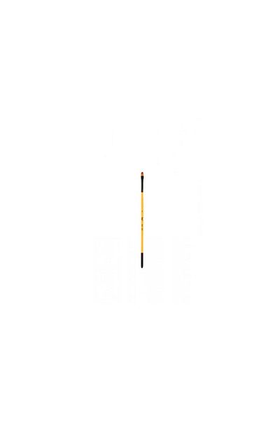 Rich Synthetic Cat Tongue Brush Art 220 No: 2