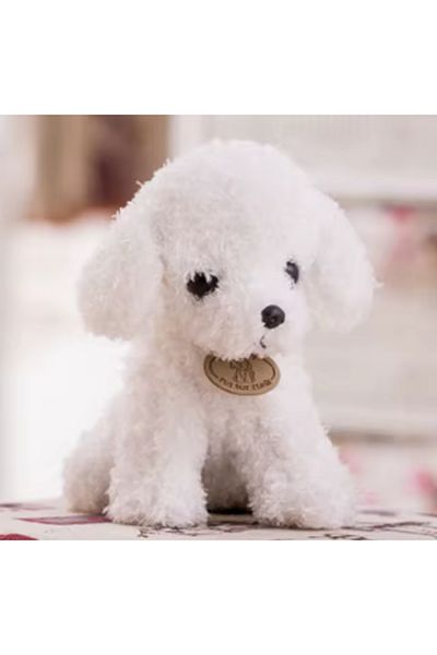 Charmer princesses Cute Dog Poodle Toy Poodle Plush Toy 30 cm 200 Grams Puppy Realistic Plush Dog Imported Product