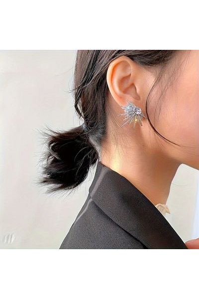 GlassySKY Stylish Stone Wing Earrings