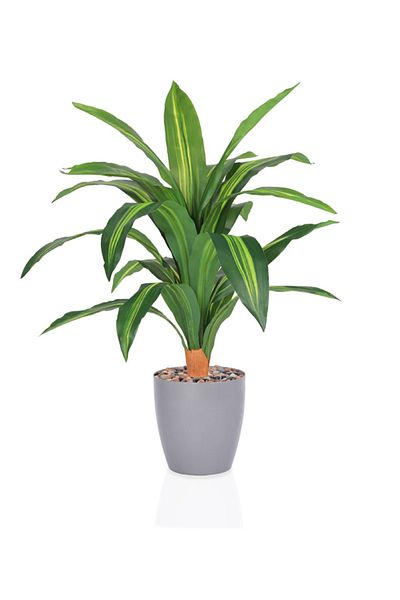 DRAMA HOME Artificial tree, simulating a soft corn tree with a natural texture, 75 cm high