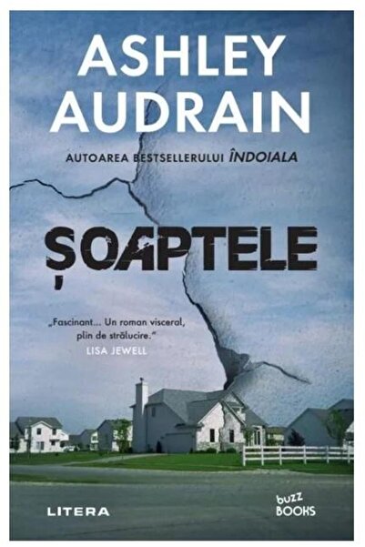 Editura Litera Soaptele, Ashley Audrain