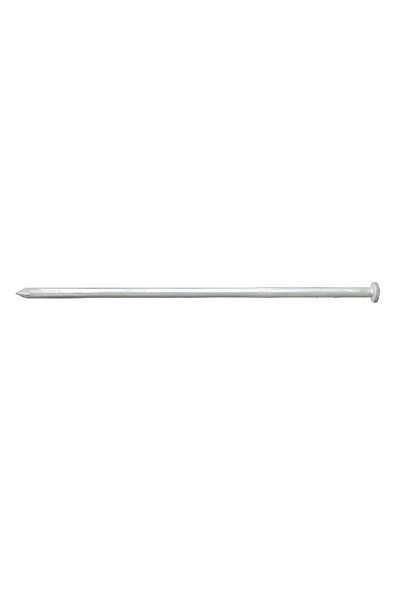 ACE Diamond Point Flat Head Hot-Dipped Galvanized Steel Spike Nail Silver 10inch