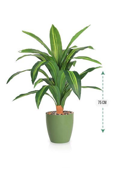 DRAMA HOME Artificial tree, simulating a soft corn tree with a natural texture, 75 cm high