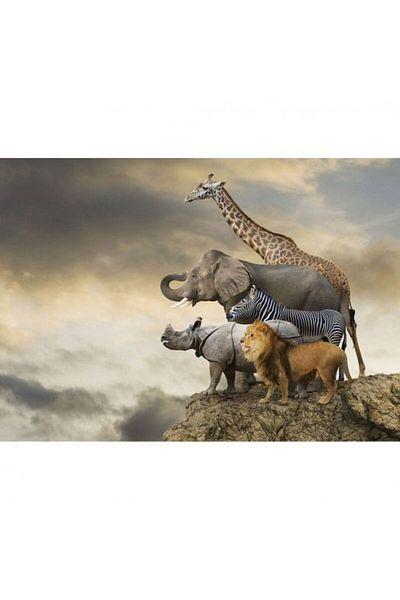EDUCA African Savanna Jungle Animals Puzzle