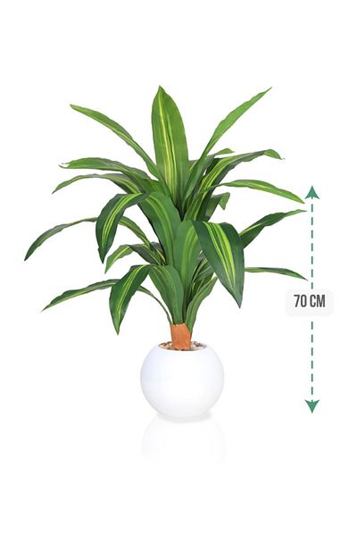 DRAMA HOME 70cm Artificial Corn Tree – A natural touch with lasting elegance