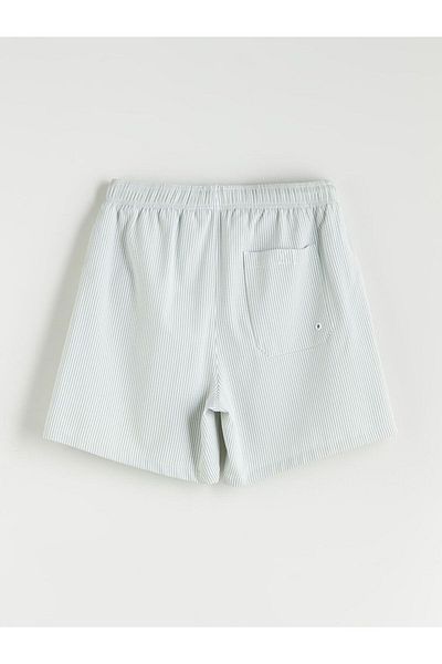 LC Waikiki Southblue Short Length Striped Men's Swim Shorts