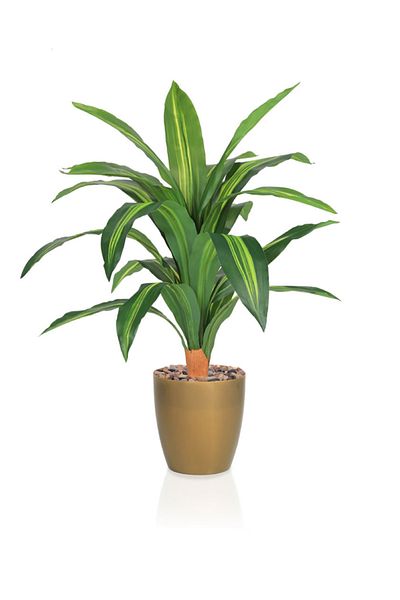 DRAMA HOME Artificial tree, simulating a soft corn tree with a natural texture, 75 cm high