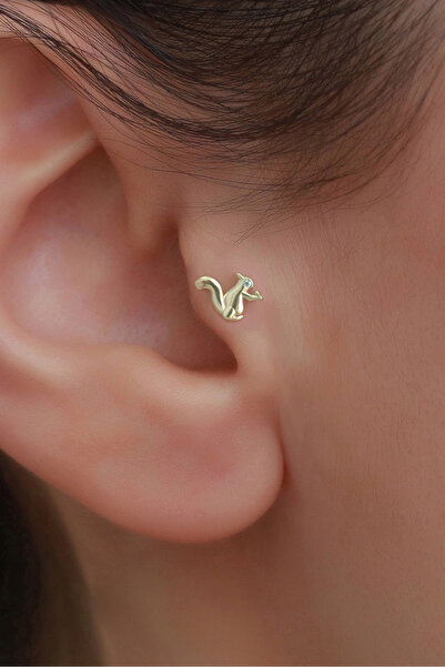 Bayar Gold 14 Ayar Altın Sincap Tragus Piercing