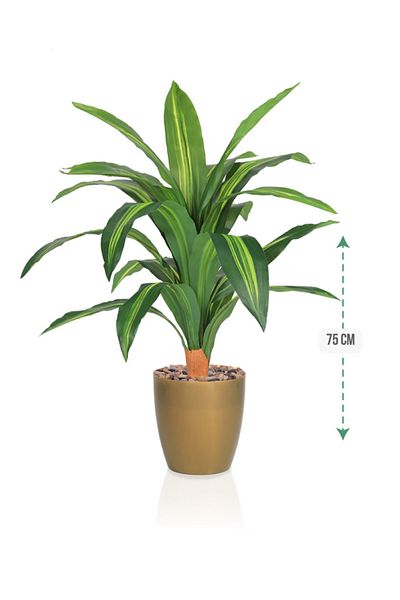 DRAMA HOME Artificial tree, simulating a soft corn tree with a natural texture, 75 cm high