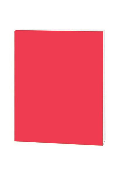 Roco Foam Board Red/White Core 100.00cm ( 3.28 ft ) X 70.00cm ( 2.30 ft )