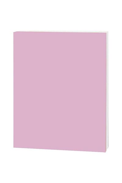 Roco Foam Board Pink/White Core 100.00cm ( 3.28 ft ) X 70.00cm ( 2.30 ft )