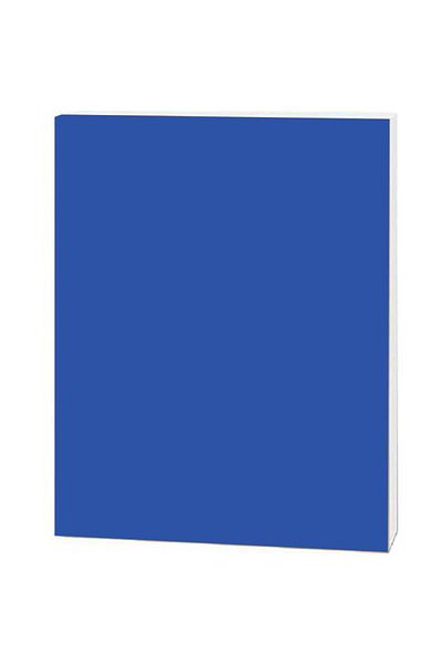 Roco Foam Board Blue/White Core 100.00cm ( 3.28 ft ) X 70.00cm ( 2.30ft )
